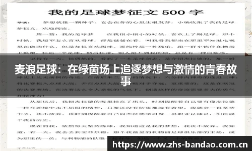 麦浪足球：在绿茵场上追逐梦想与激情的青春故事